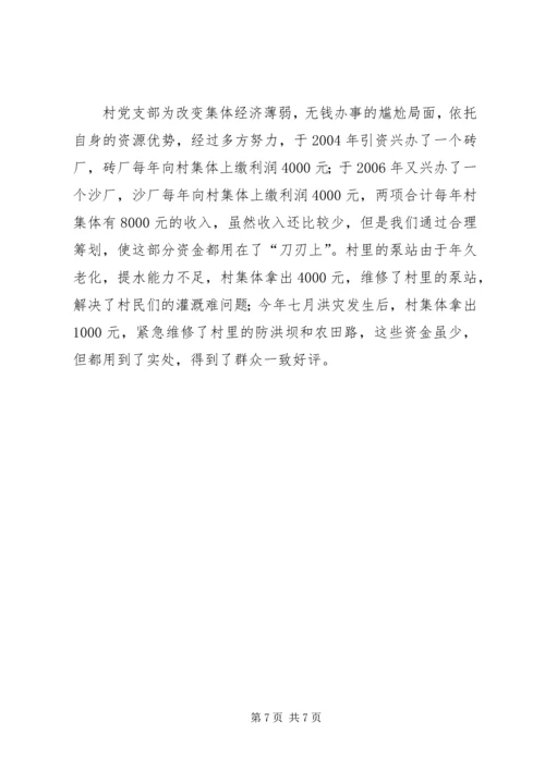 村党支部工作汇报材料.docx