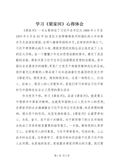 学习《梁家河》心得体会.docx