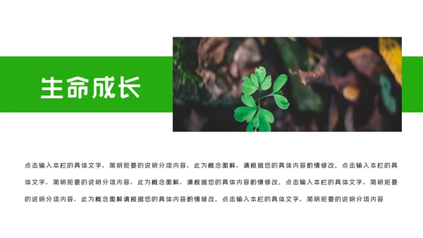 唯美绿色植物发芽植物生长敬畏生命PPT模板
