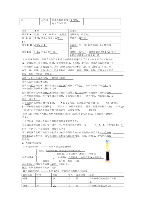 中考生物知识点总结计划