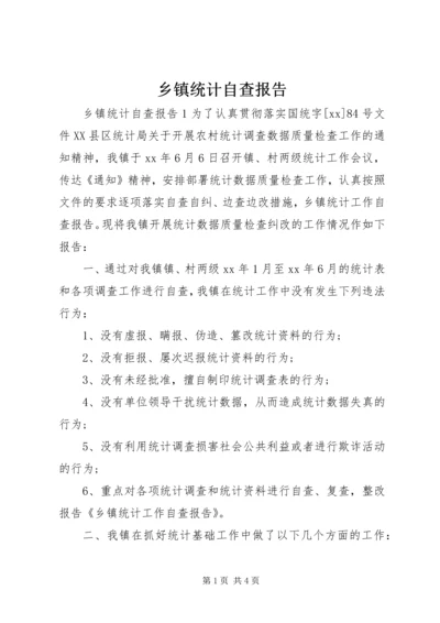 乡镇统计自查报告.docx