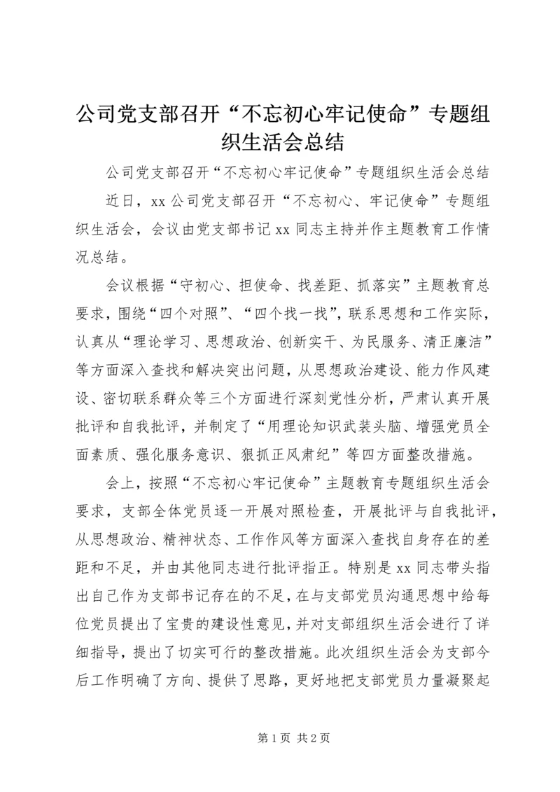 公司党支部召开“不忘初心牢记使命”专题组织生活会总结.docx