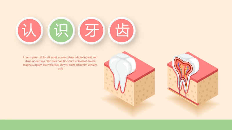 认识牙齿预防蛀牙动态PPT