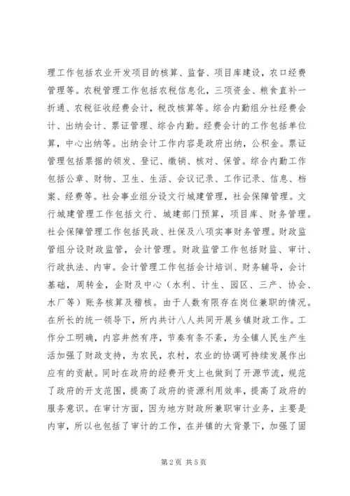 乡镇财政所实践汇报材料.docx