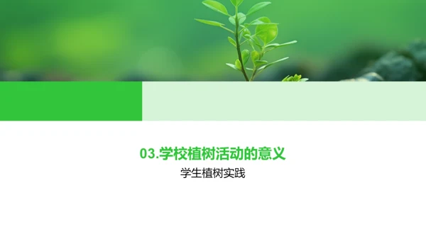 播种绿意 传承希望