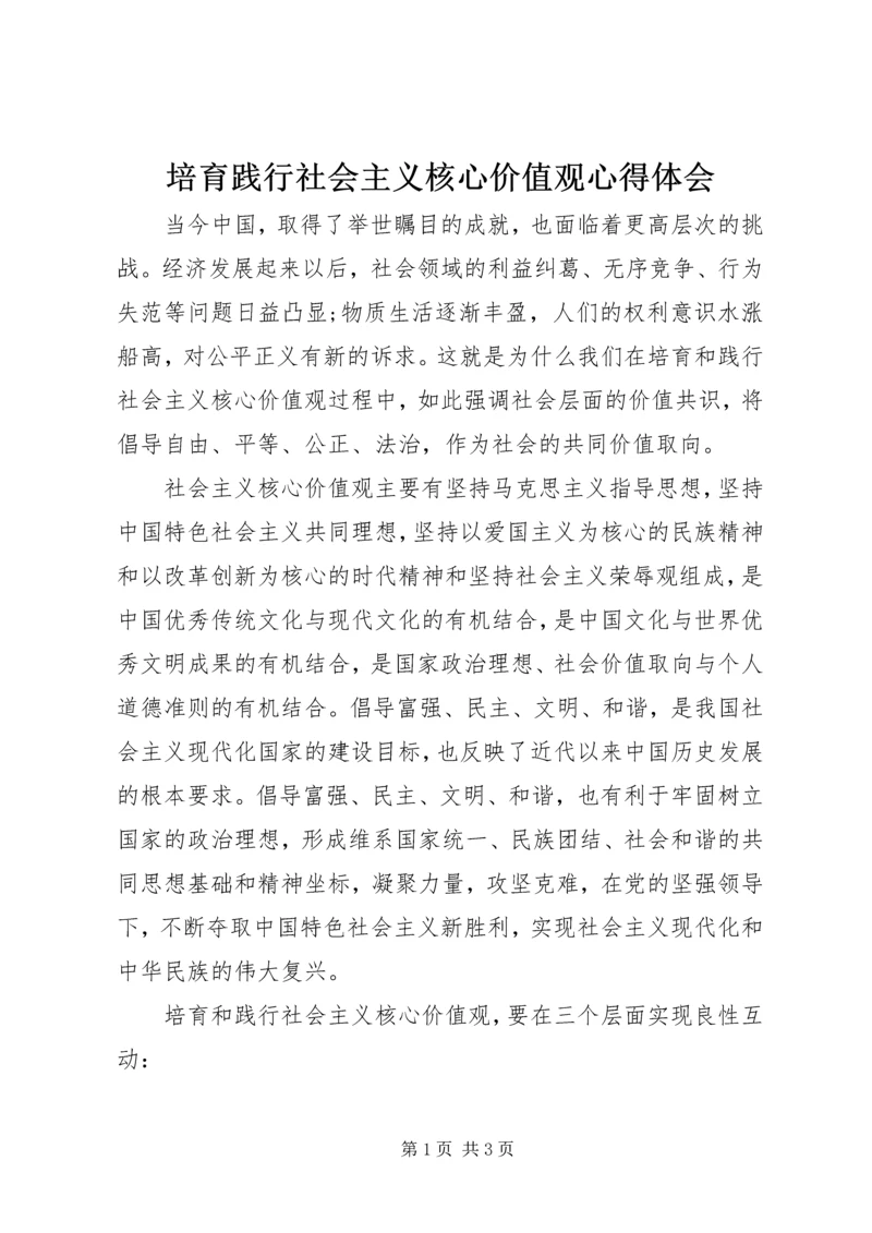 培育践行社会主义核心价值观心得体会.docx