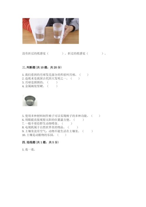 教科版科学二年级上册期末测试卷精品（巩固）.docx