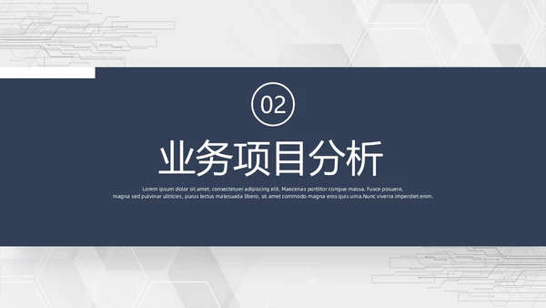 简约商业计划书PPT模板