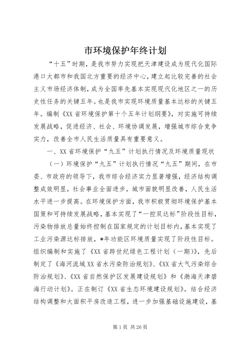 市环境保护年终计划.docx