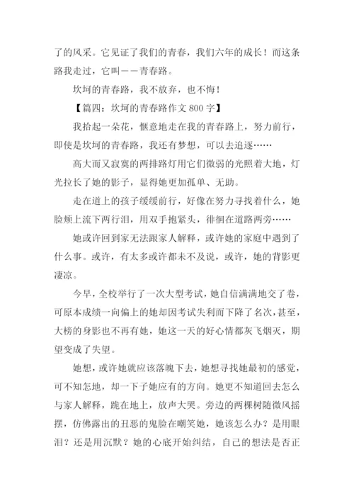 坎坷的青春路作文800字.docx