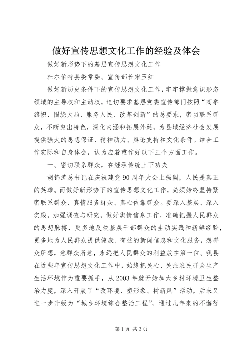 做好宣传思想文化工作的经验及体会.docx