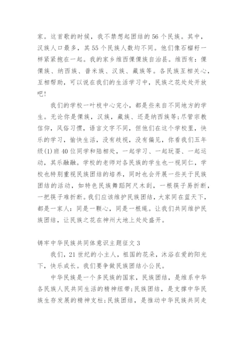 铸牢中华民族共同体意识主题征文10篇.docx