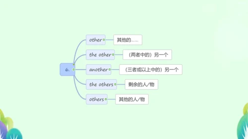 本册综合-代词