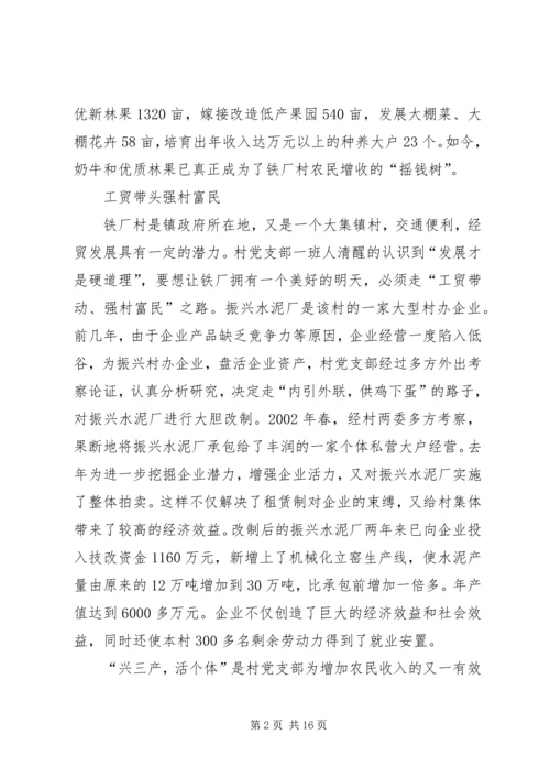 村党支部先进事迹材料 (6).docx