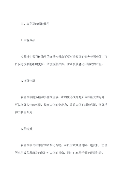 扁劲草功效与作用
