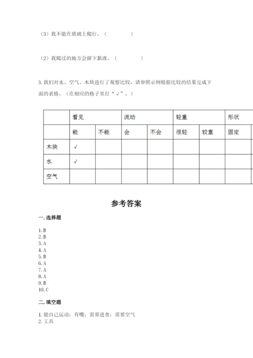 教科版一年级下册科学期末测试卷（黄金题型）.docx