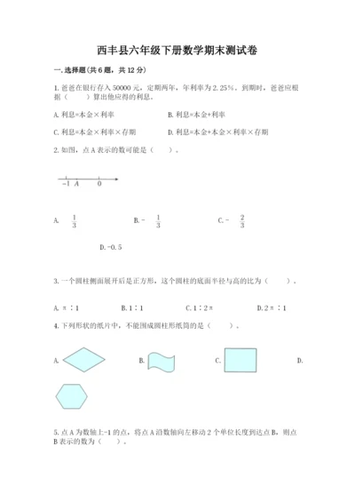 西丰县六年级下册数学期末测试卷精品含答案.docx
