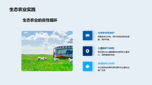 创新农业投资策略