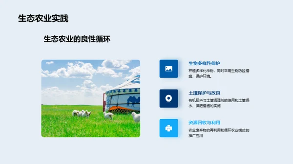 创新农业投资策略