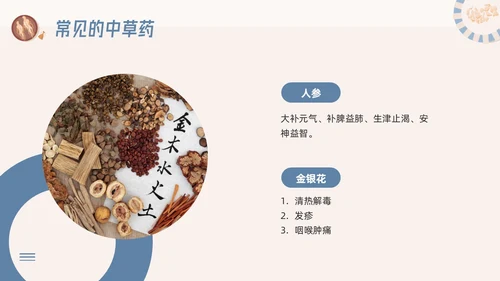 蓝色简约神奇中药草PPT模板宣传PPT动态PPT中医药