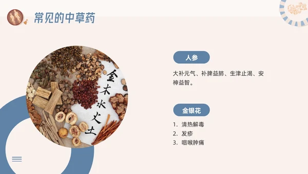 蓝色简约神奇中药草PPT模板宣传PPT动态PPT中医药