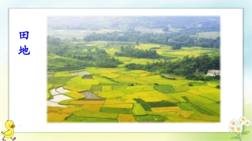 识字1 天地人  课件