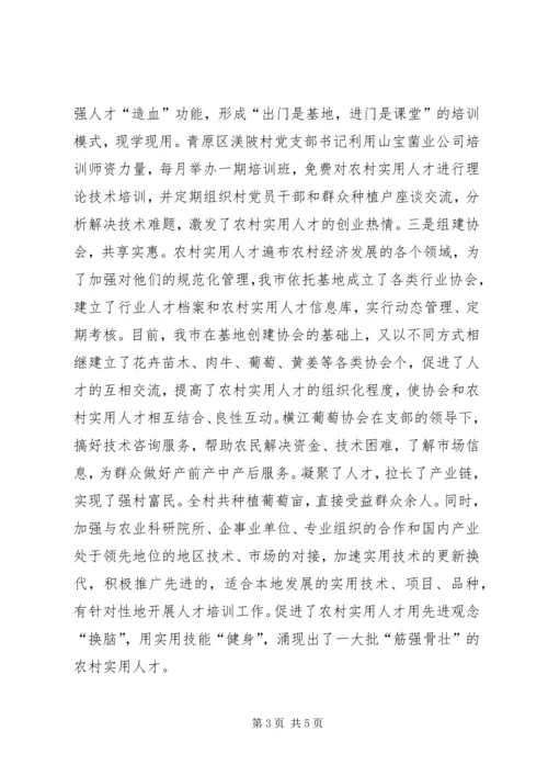 人才队伍建设总结.docx