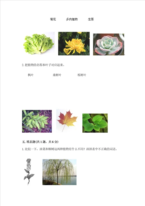 教科版科学一年级上册第一单元植物测试卷及完整答案考点梳理