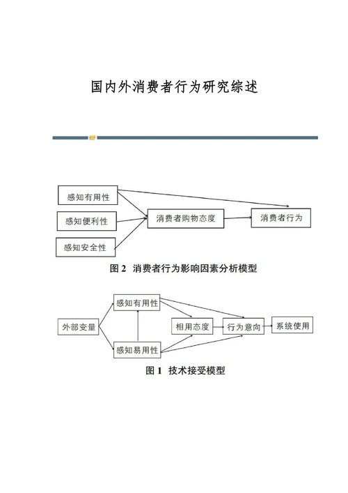 国内外消费者行为研究综述