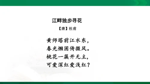 统编版语文四年级下册 第二单元 复习课件（共26张PPT）