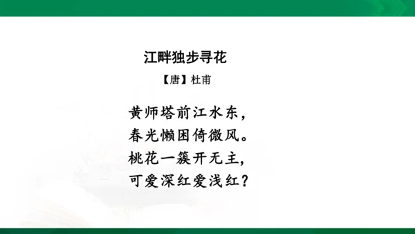 统编版语文四年级下册 第二单元 复习课件（共26张PPT）