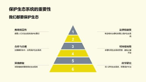 探索生态系统