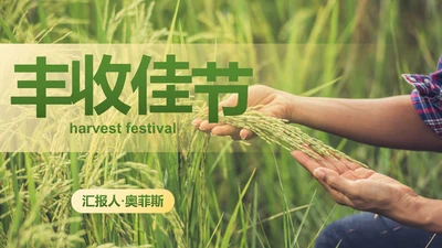 简约实景农民丰收佳节工作汇报PPT模板