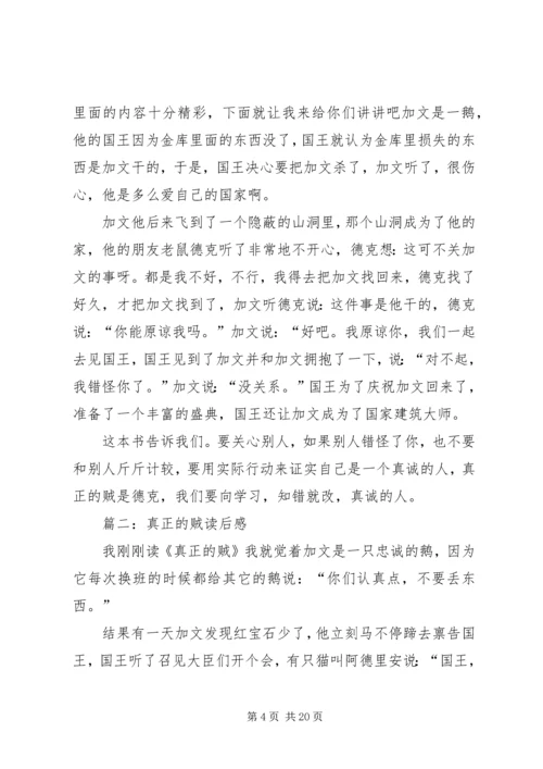 真正的贼读后感.docx