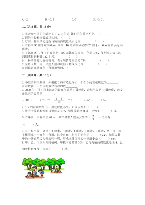 西师大版小升初数学模拟试卷审定版.docx