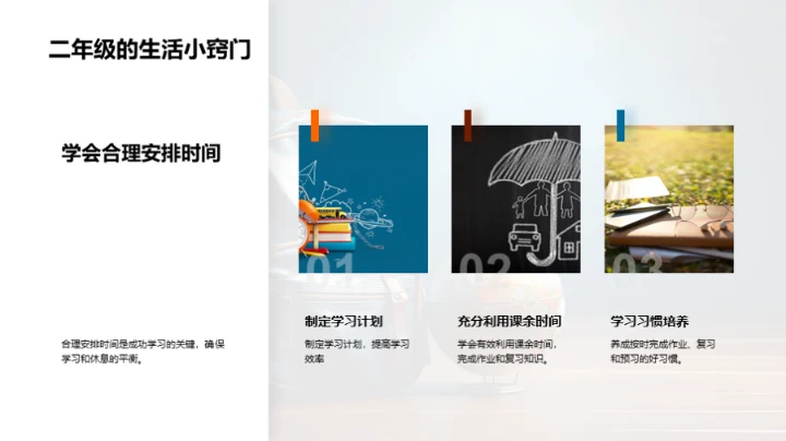 探索二年级的世界