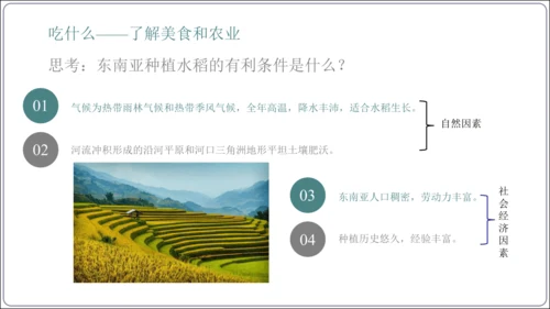 7.2 东南亚课件（共29张PPT）【2024春人教七下地理精品课件】