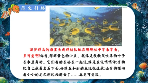 18.富饶的西沙群岛  课件
