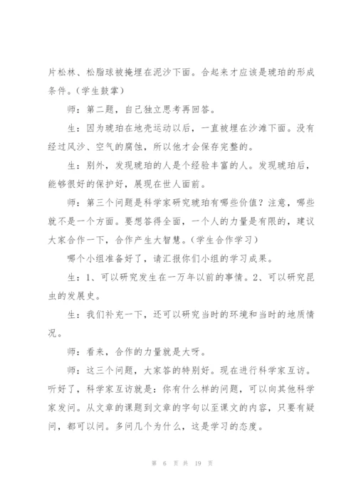 琥珀课堂实录王玲湘.docx