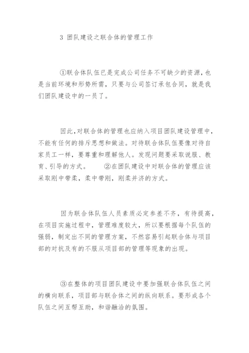 团队建设与项目管理.docx