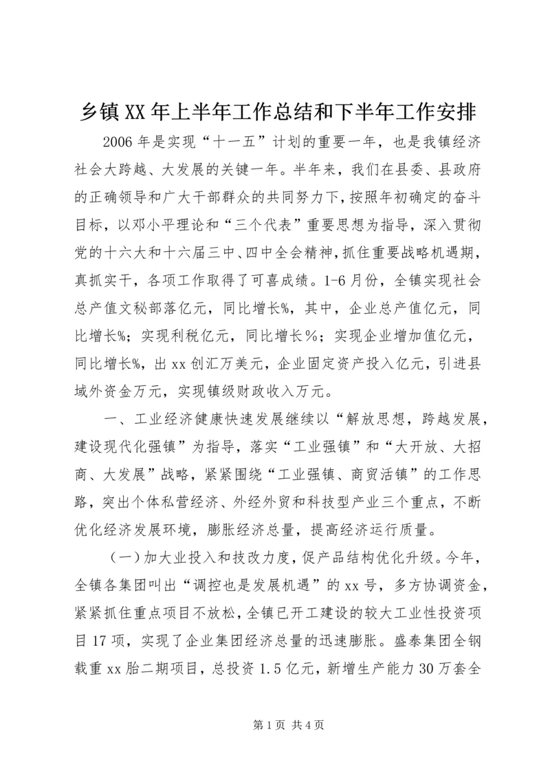 乡镇某年上半年工作总结和下半年工作安排.docx