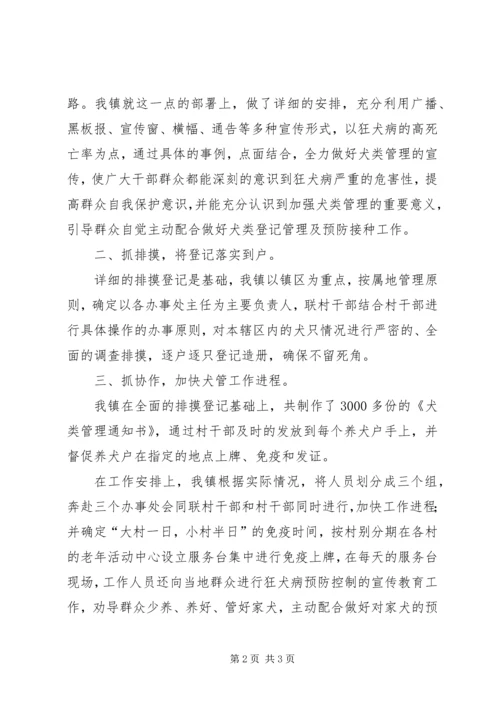 犬只管理汇报材料 (3).docx