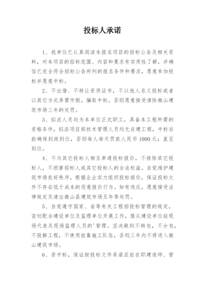 投标人承诺.docx