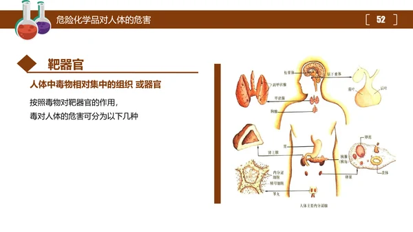 危险化学品处置对策安全培训PPT课件