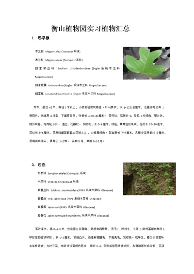 衡山植物园实习植物汇总模板