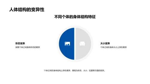 解剖学基础课程PPT模板