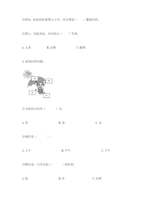 教科版科学二年级上册期末测试卷附答案【实用】.docx
