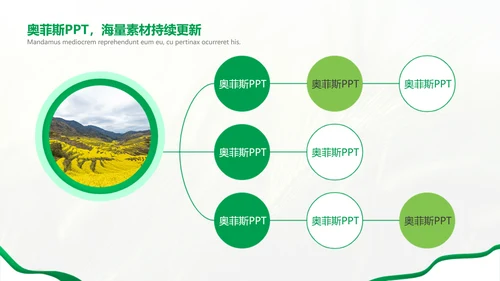绿色简约风农学专业科研总结