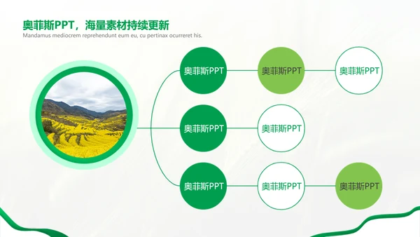 绿色简约风农学专业科研总结