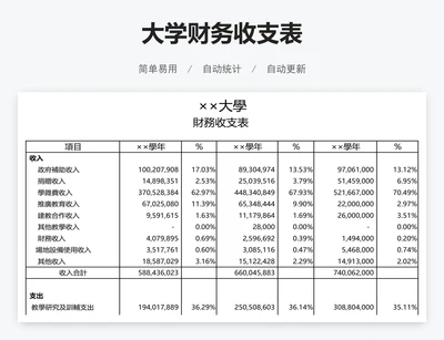 大学财务收支表